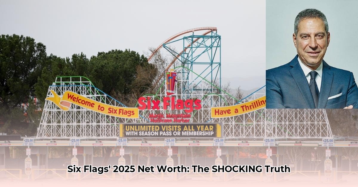 6-flags-net-worth